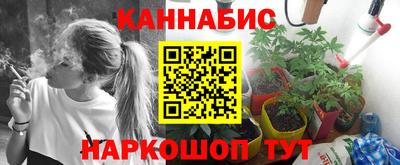 ешки Новозыбков