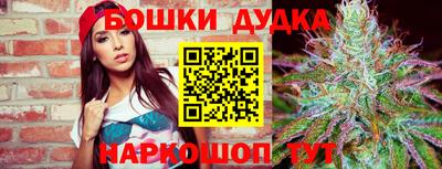 МДПВ Новокубанск