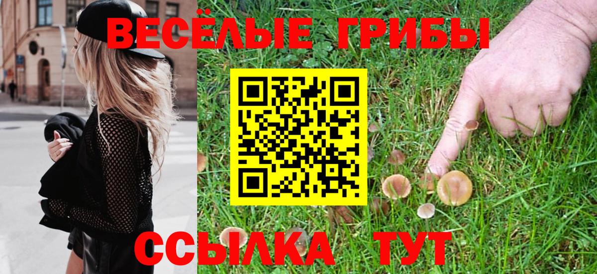 Галлюциногенные грибы Psilocybe Псков